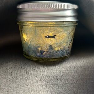 Mason Jars - Glass Jars With Solar Lights. Hand decorated By “Ama…